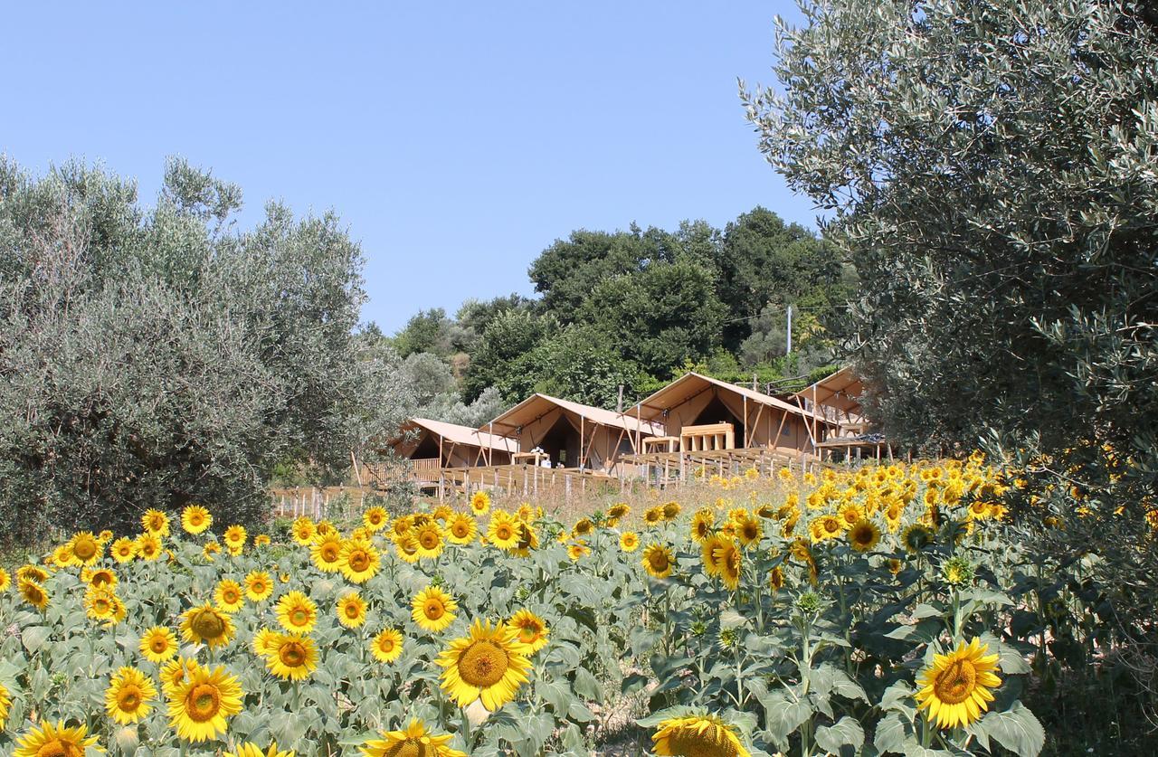 Il Girasole Country Village Massignano Buitenkant foto